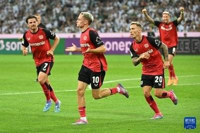 hth体育中国门兴格拉德巴赫关键时刻强势反弹，志在意大利杯名次提升，信心回归，轮换策略成焦点的简单介绍