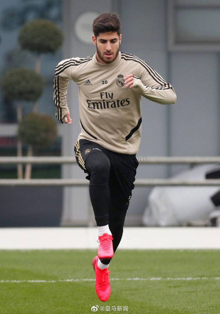 hth体育中国包含这也行？多伦多猛龙转会期回应争议今晨利物浦备战国王杯，今晚夏洛特黄蜂备战欧联的词条